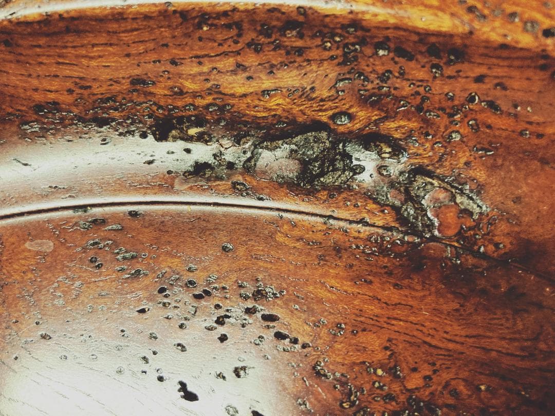 【値下げ】【希少】 小椋榮一 天然古木 丸盆 【真作保証】