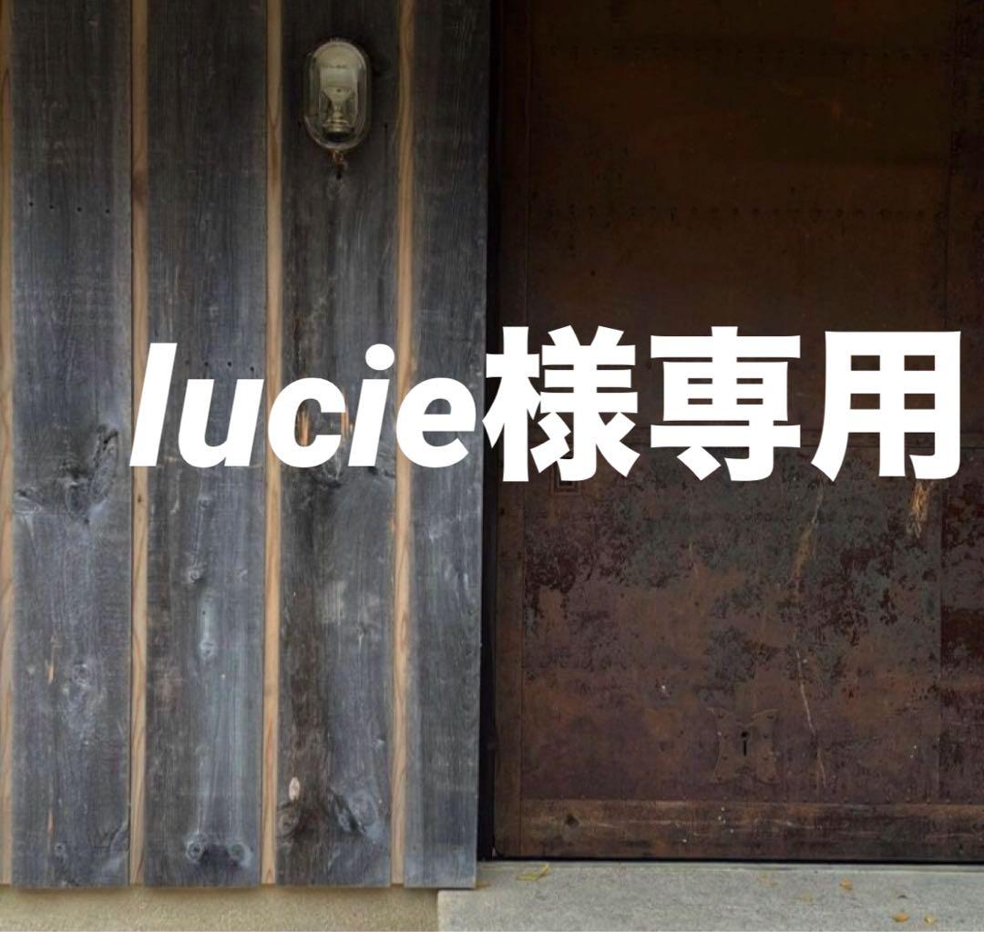 lucie 同梱おまとめ