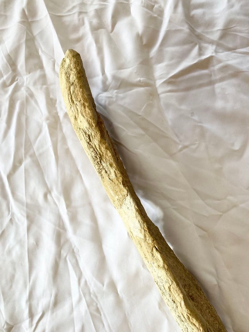 ブラジル産　魚の化石　4.7kg 62cm×14cm ①